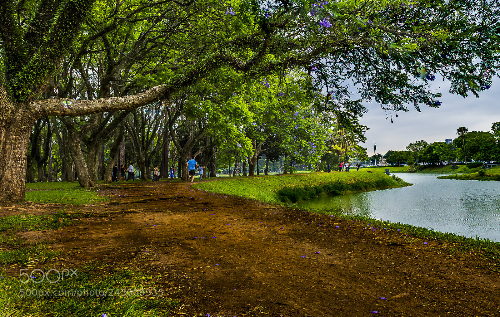 Nikon D7200 sample photo. Caminhos do ibirapuera photography
