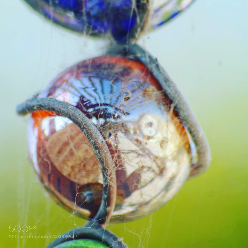 Pentax K20D sample photo. Trapped world photography