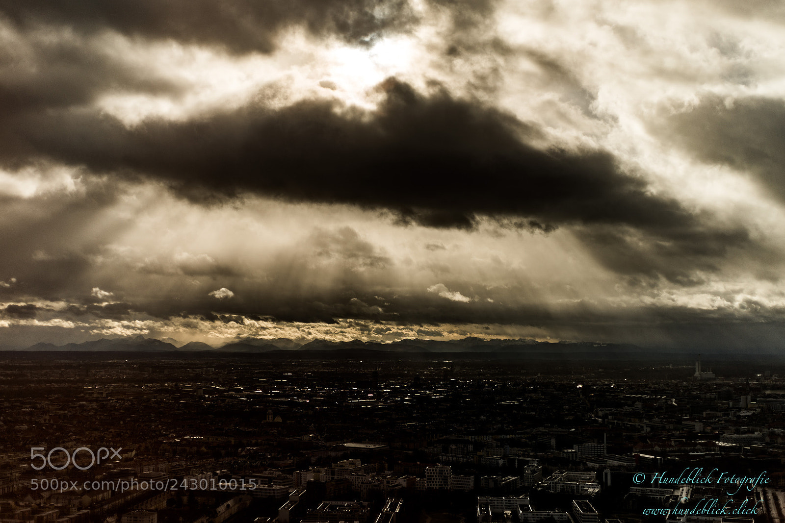 Pentax K-1 sample photo. Hundeblick fotografie photography
