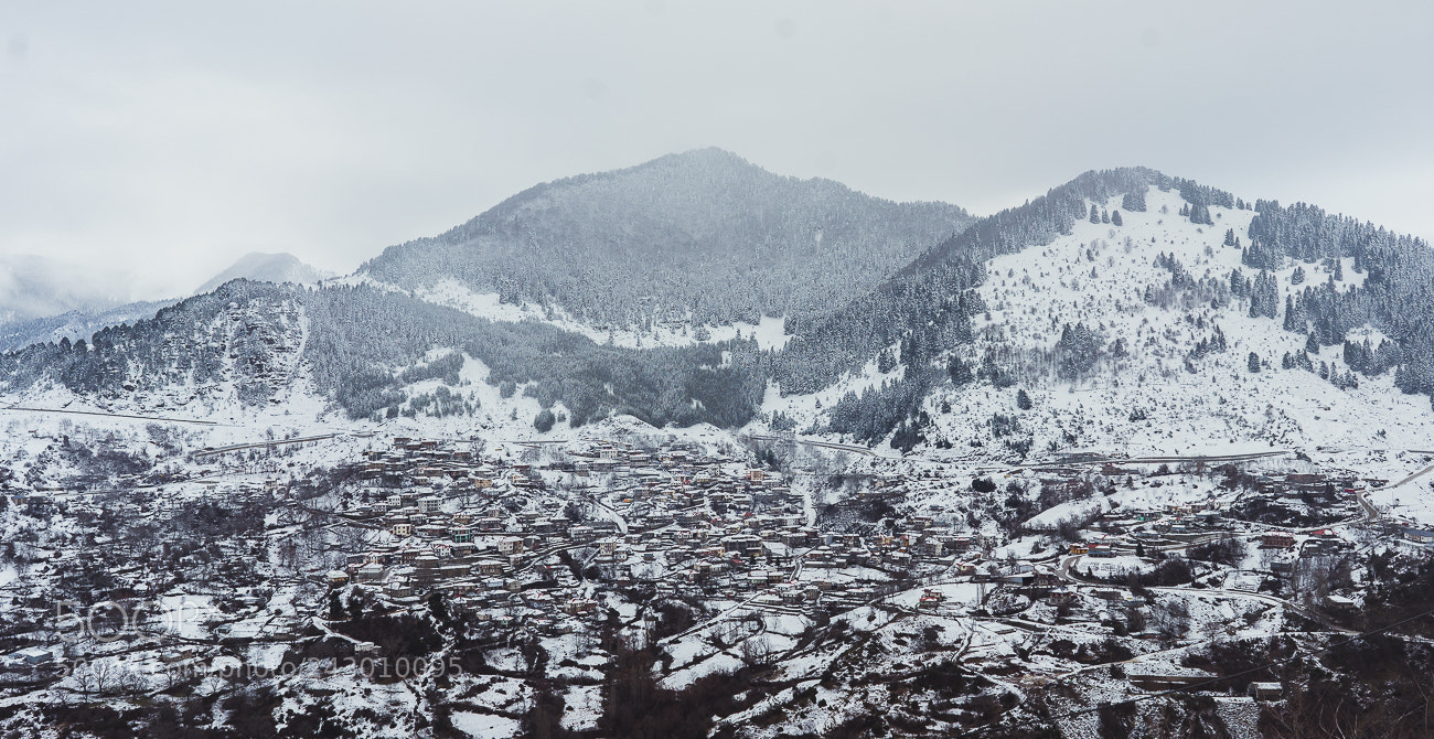 Sony a7R II sample photo. Untitled photography