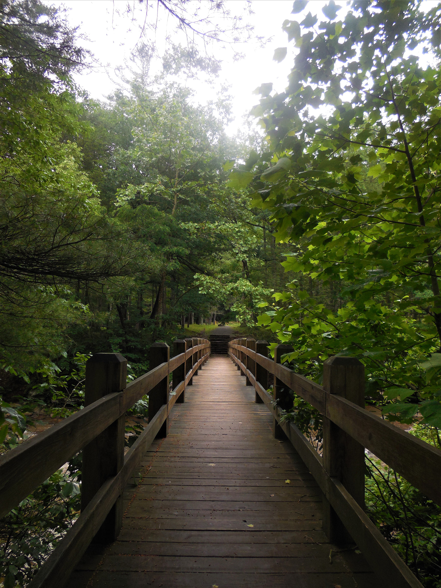 Nikon Coolpix S6500 sample photo. Over the bridge, and through the woods photography