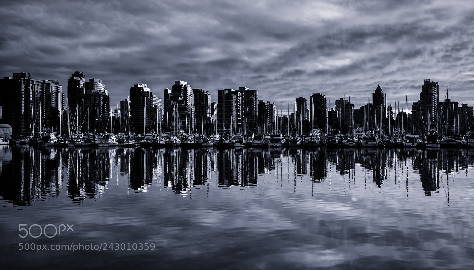 Nikon D800 sample photo. Vancouver b c photography