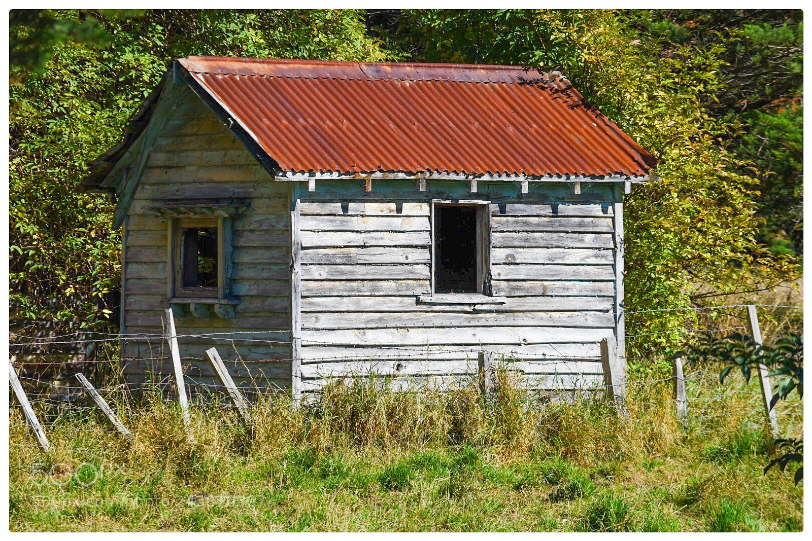 Nikon D5500 sample photo. Hut on side the photography