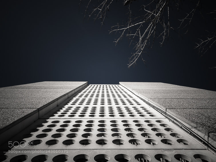 Olympus OM-D E-M1 Mark II sample photo. Vertigo.. photography