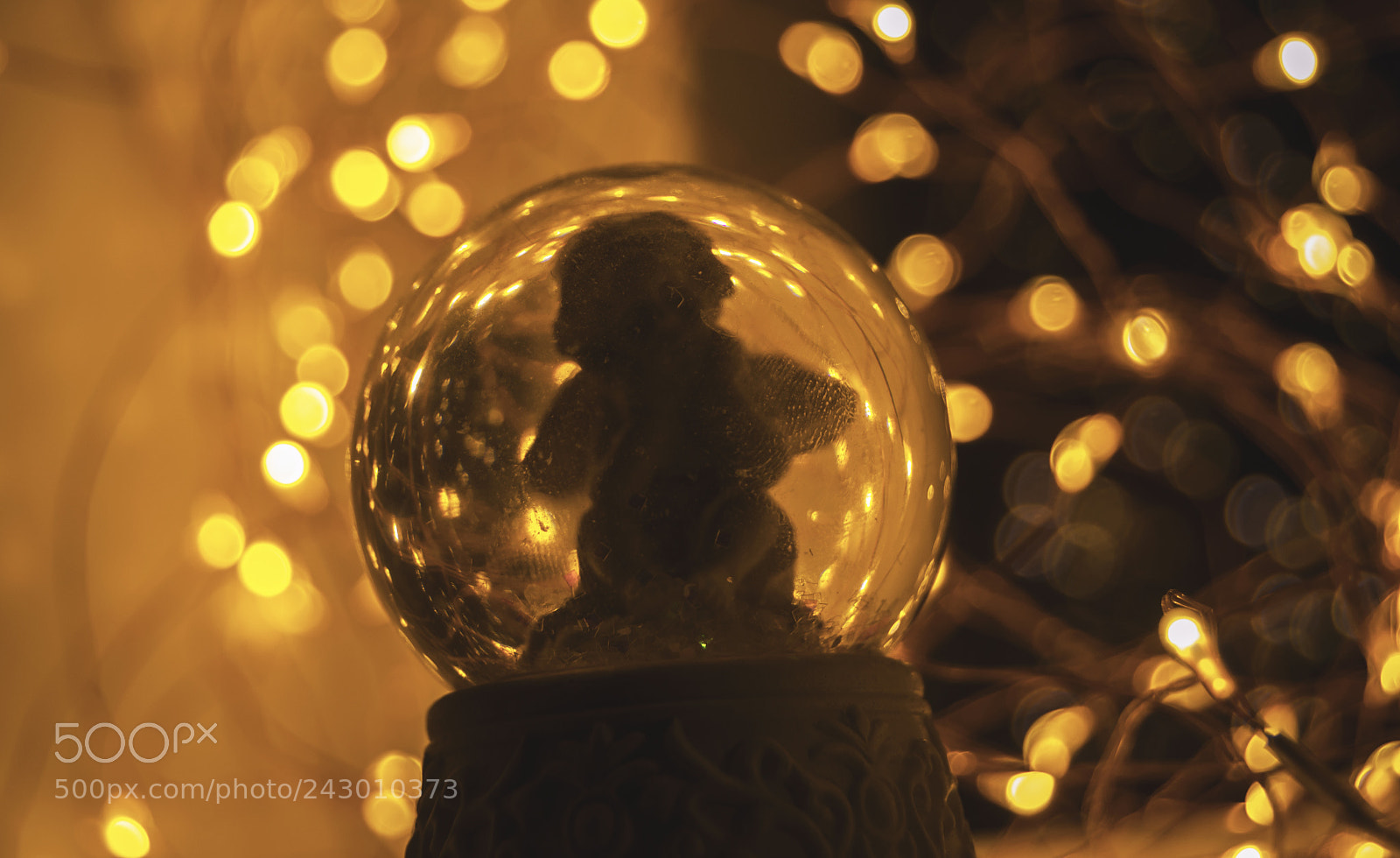 Nikon D3100 sample photo. Fading into the light photography
