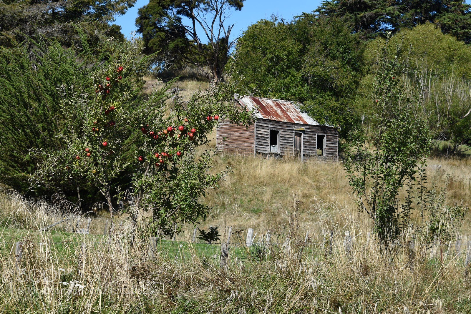 Nikon D5500 sample photo. Another abandoned home photography