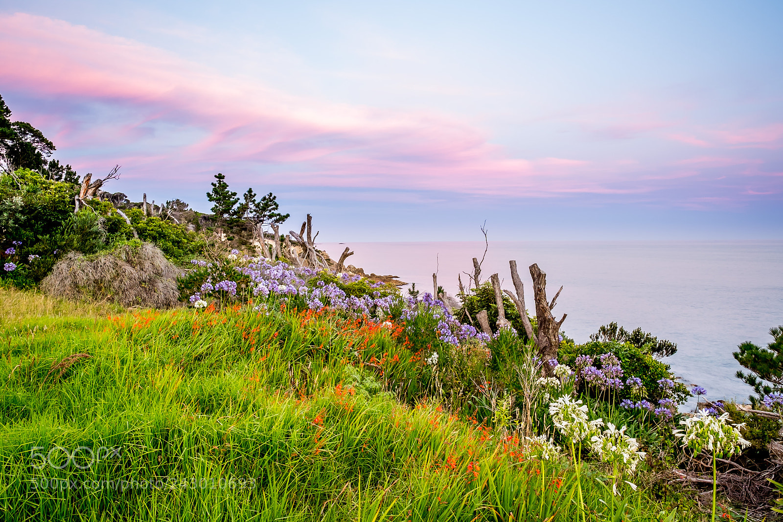 Fujifilm X-E2S sample photo. Blue hour in eden photography