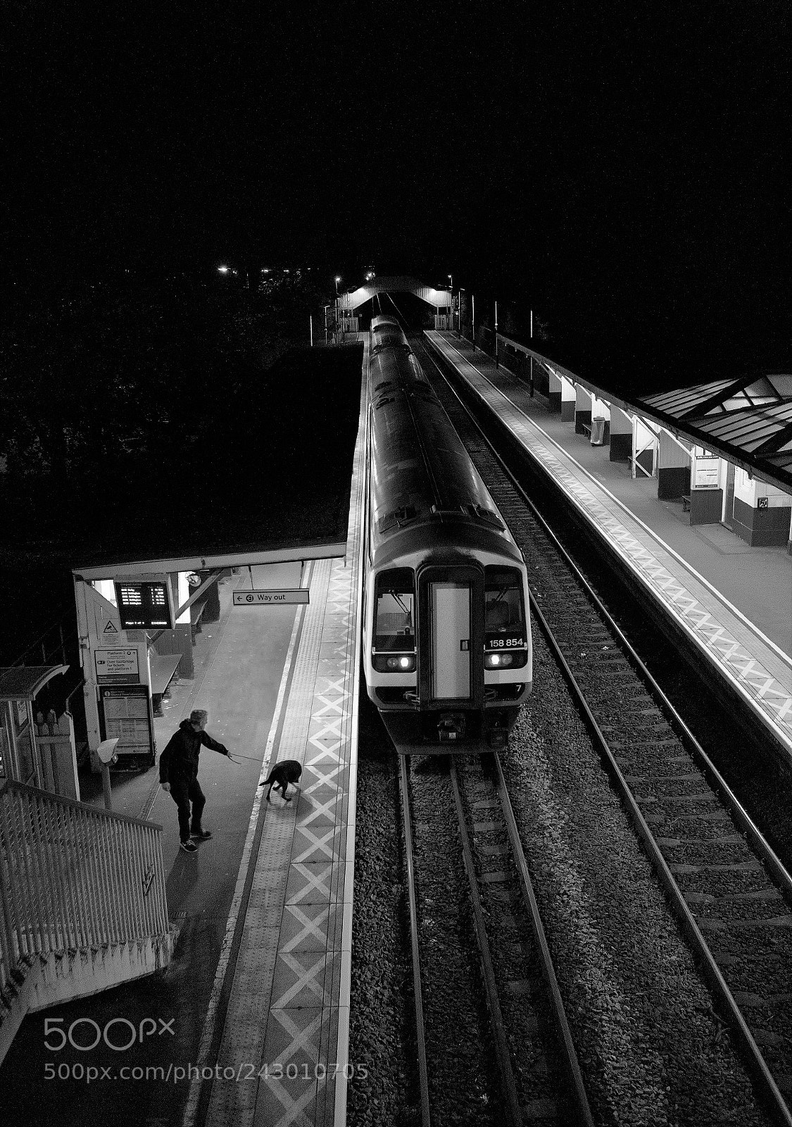 Canon EOS M10 sample photo. Dog vs man photography