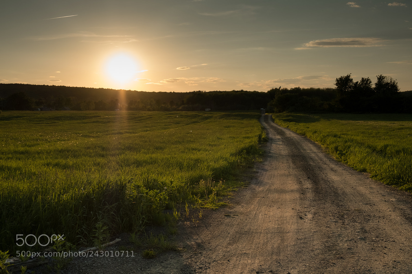 Fujifilm X-T2 sample photo. Take the road photography