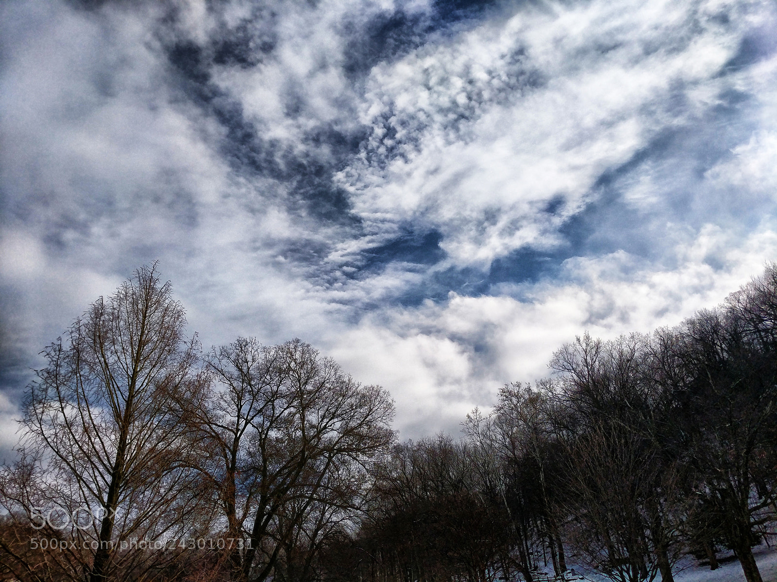 Google Pixel XL sample photo. Sky trees clouds photography