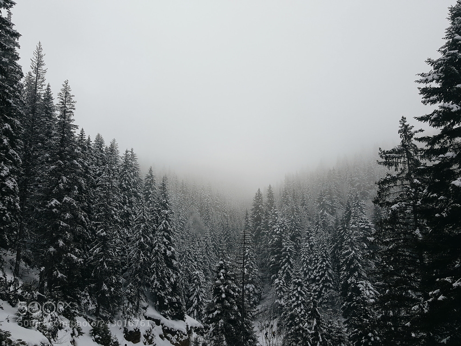 Samsung GALAXY S6 edge sample photo. Misty hike in sar photography