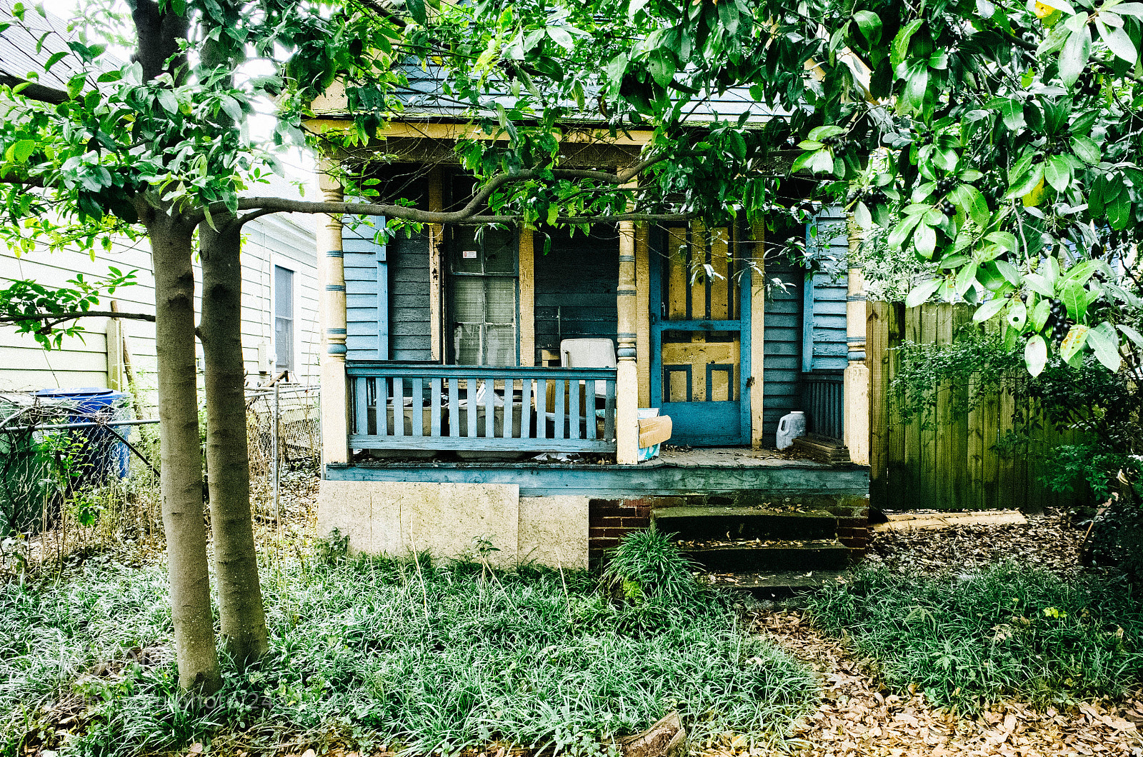 Ricoh GR II sample photo. Cabbagetown photography