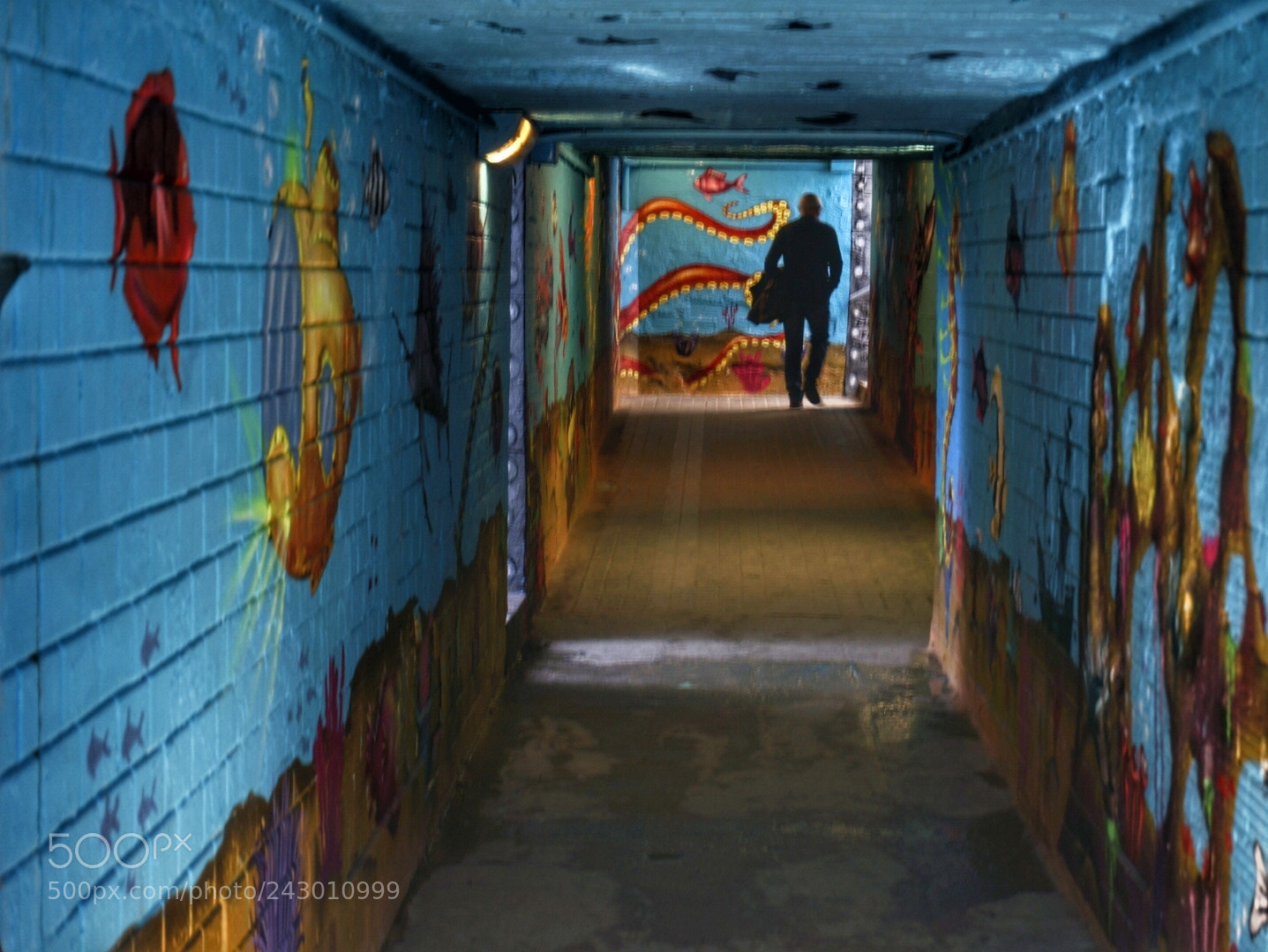 Sony Alpha NEX-6 sample photo. Aquarium photography