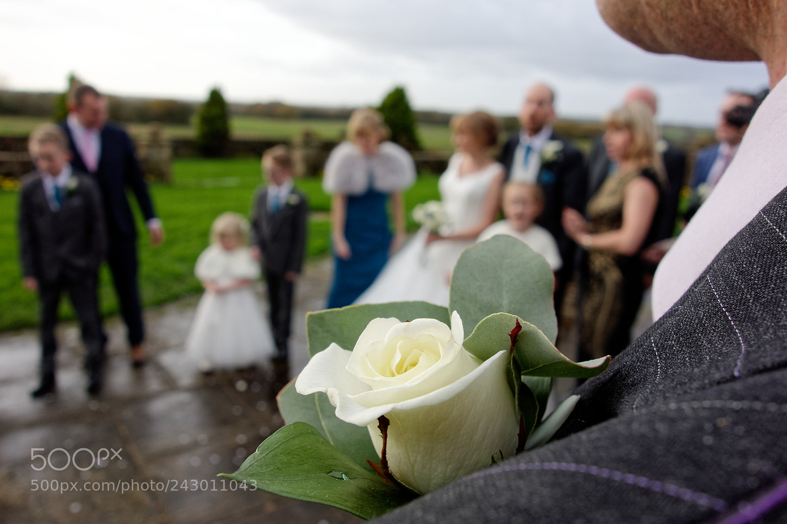 Sony Cyber-shot DSC-RX100 sample photo. White rose photography