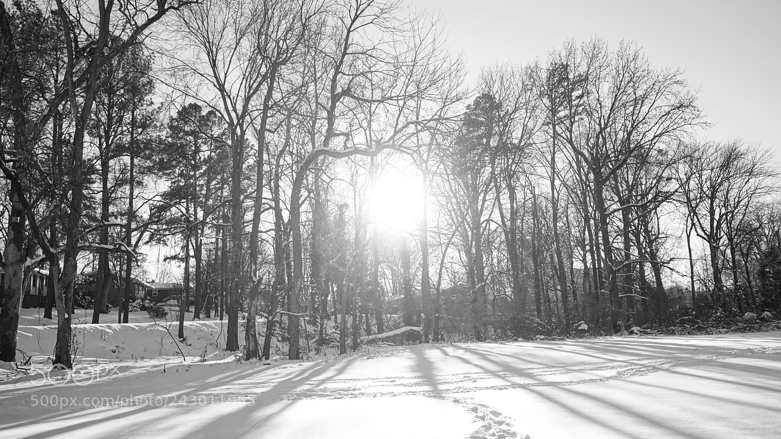 Sony a7 II sample photo. Dsc photography