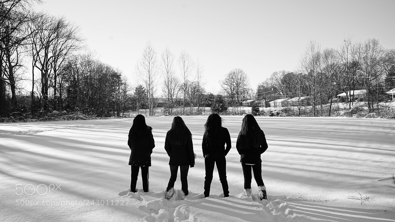 Sony a7 II sample photo. Dsc photography