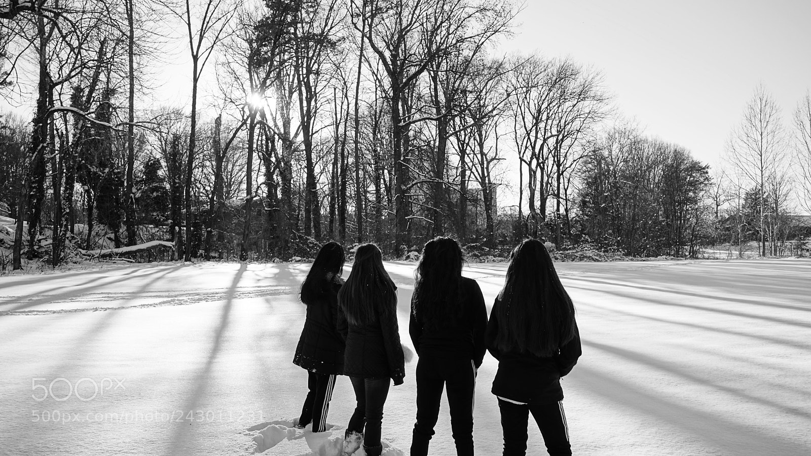 Sony a7 II sample photo. Dsc photography