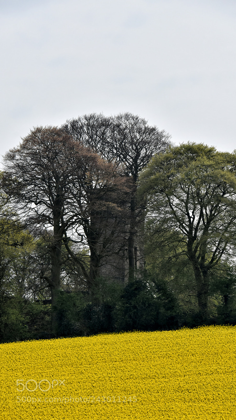 Nikon D7200 sample photo. Byrne's folly atop d photography