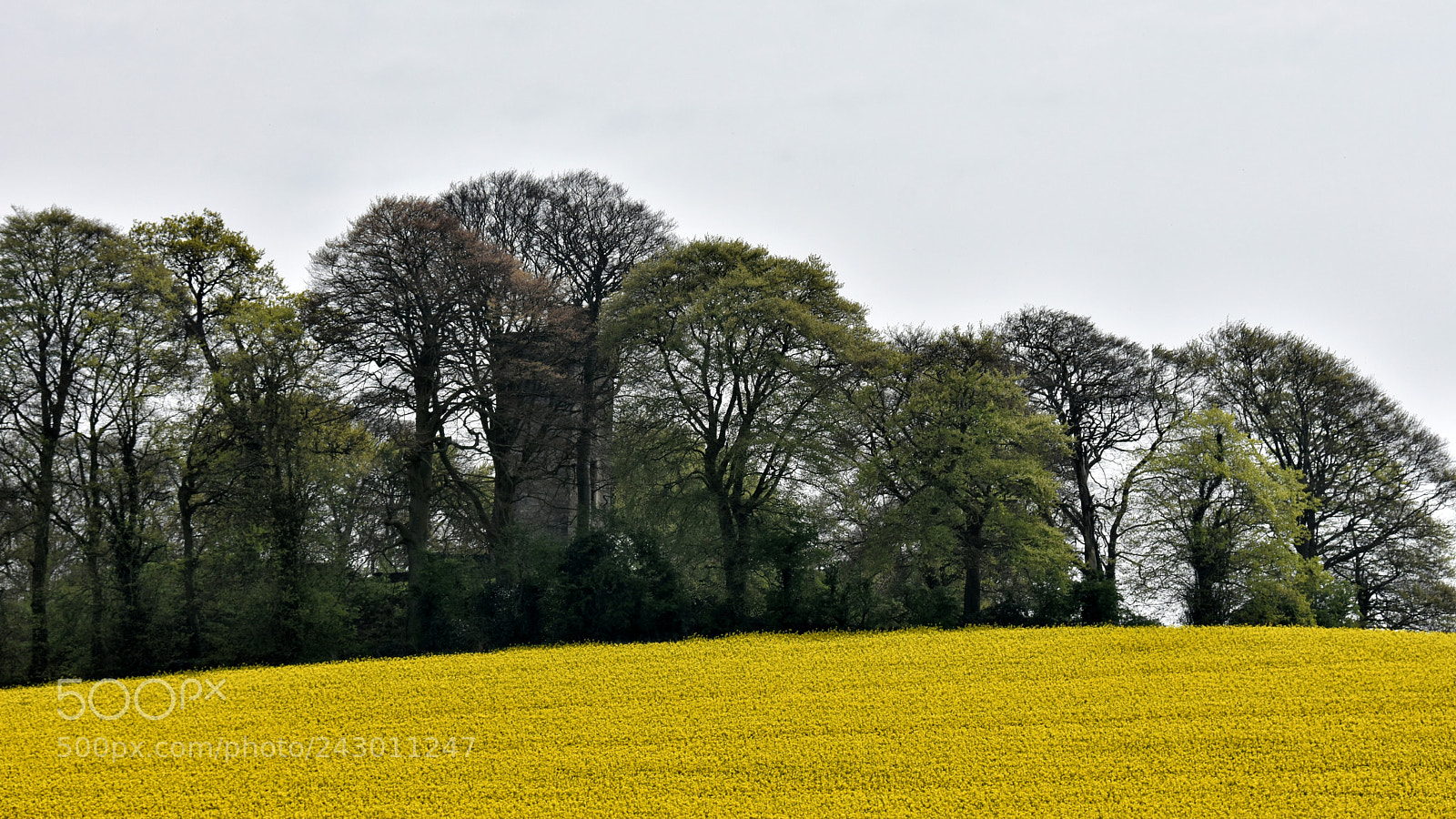 Nikon D7200 sample photo. Byrne's folly atop d photography