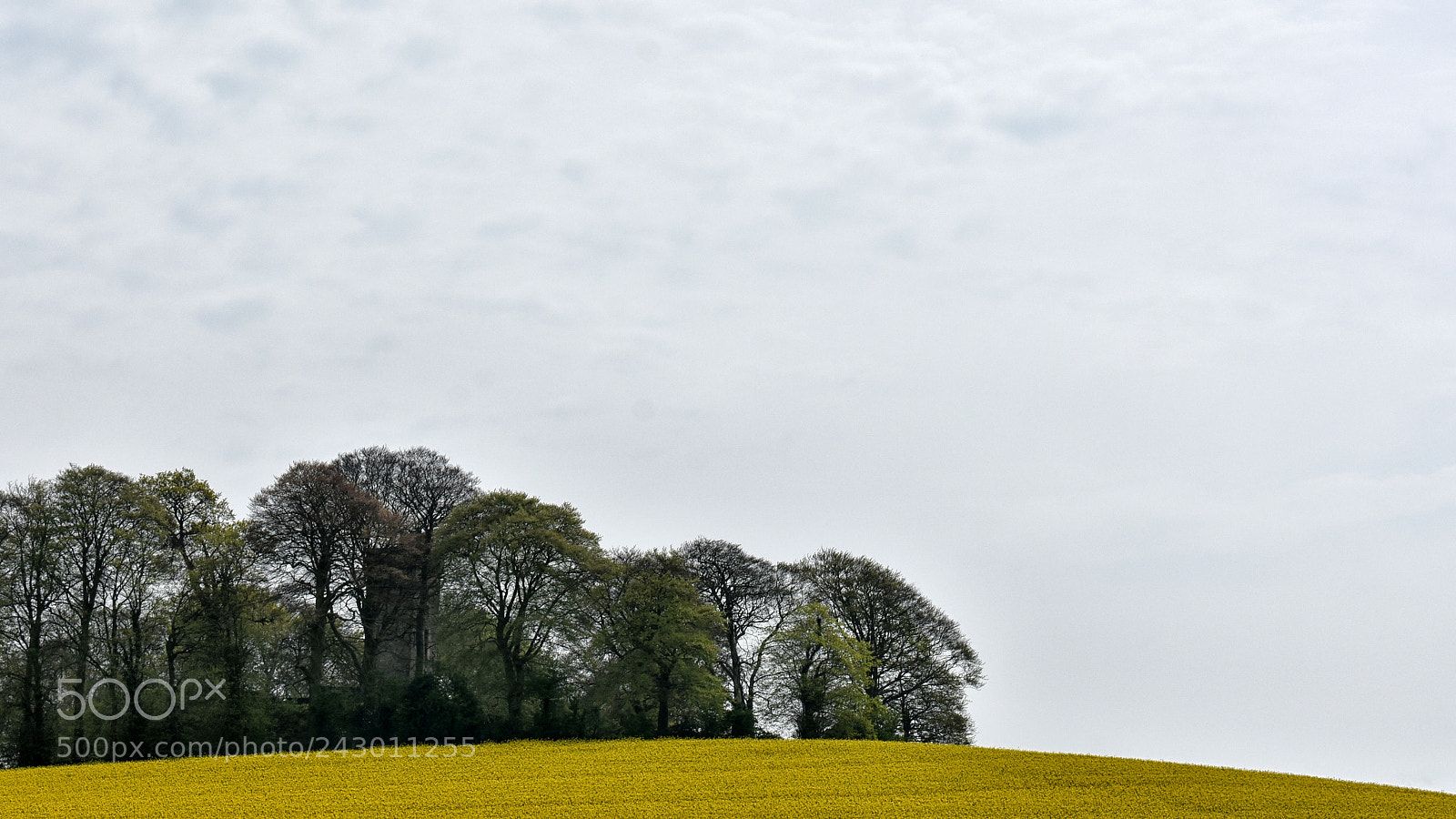 Nikon D7200 sample photo. Byrne's folly atop d photography