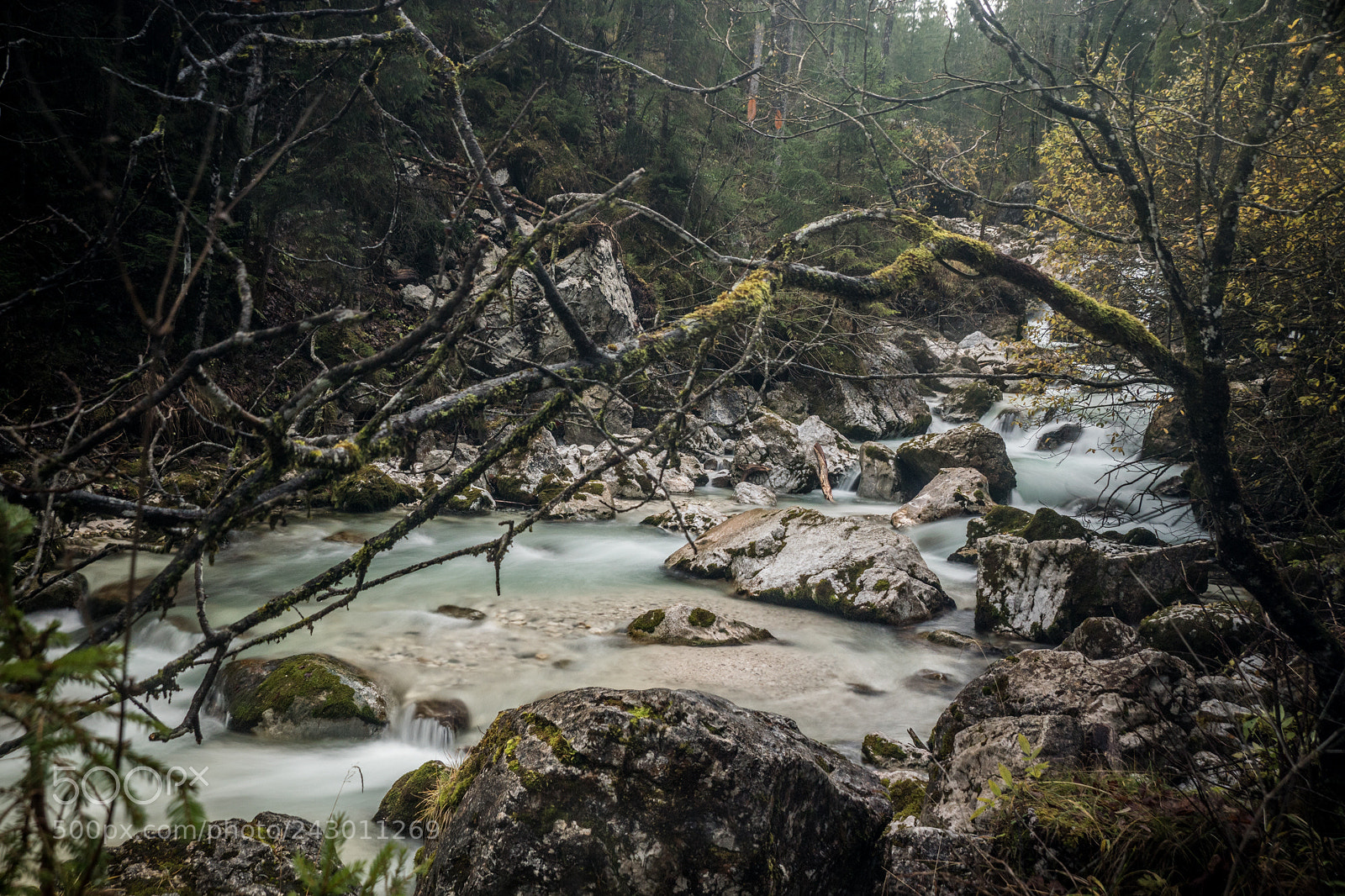 Sony ILCA-77M2 sample photo. Zauberwald photography