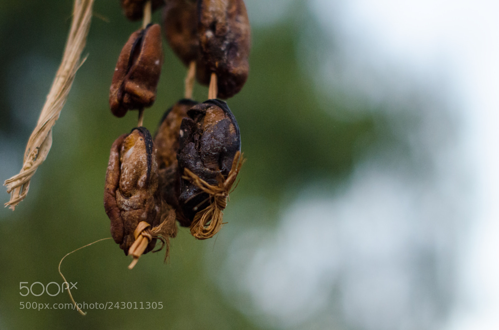 Nikon D5100 sample photo. Cholga photography