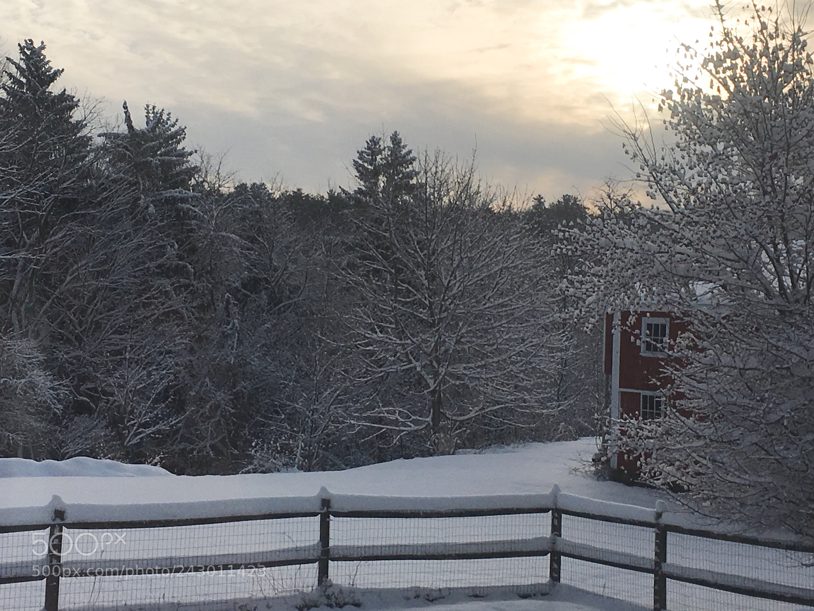 Apple iPhone SE sample photo. Winter haze photography