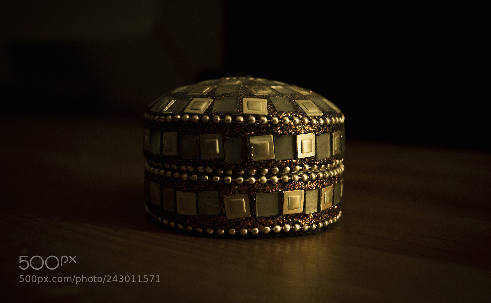 Nikon D3100 sample photo. Chest photography