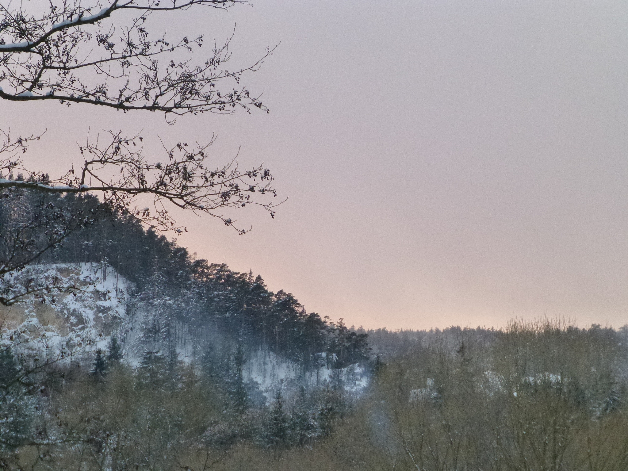 Panasonic Lumix DMC-ZS20 (Lumix DMC-TZ30) sample photo. Pink melancholy photography