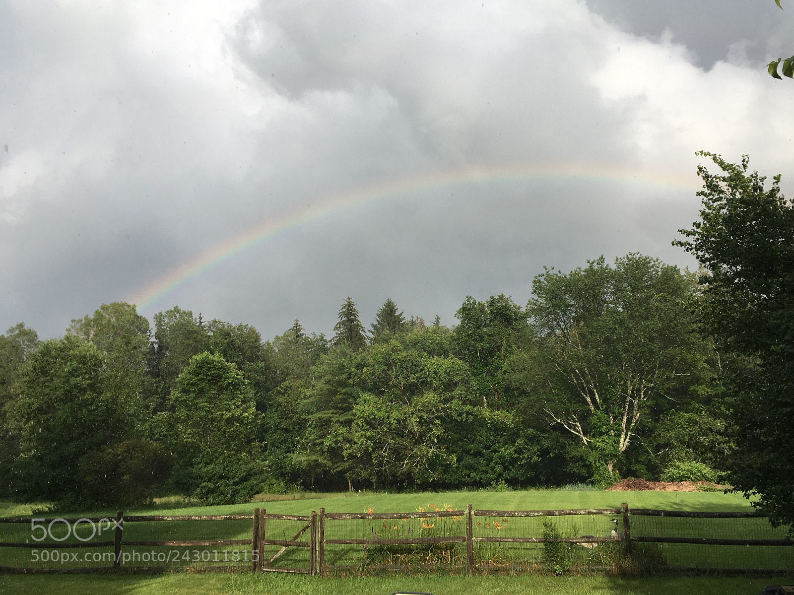 Apple iPhone SE sample photo. Rainbow photography