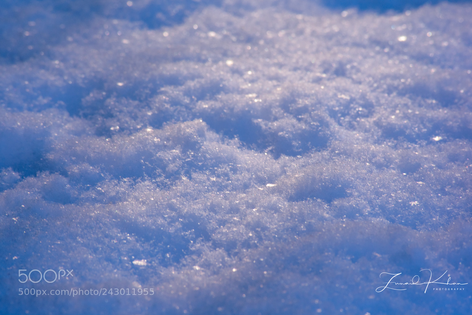 Nikon D3400 sample photo. Light on snow photography