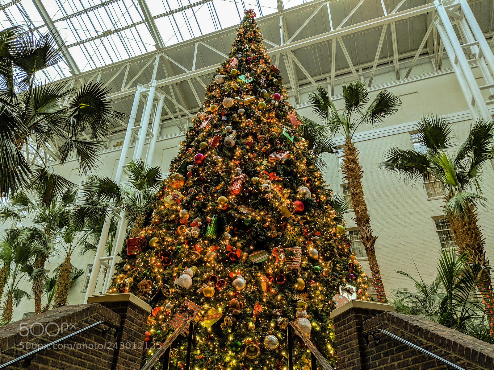 Google Pixel 2 sample photo. Christmas in nashville photography