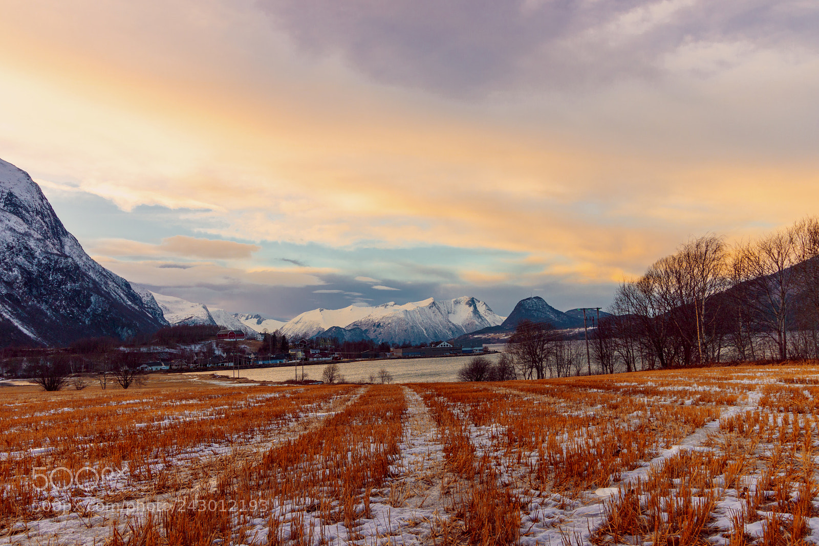 Canon EOS 750D (EOS Rebel T6i / EOS Kiss X8i) sample photo. Field of crops photography