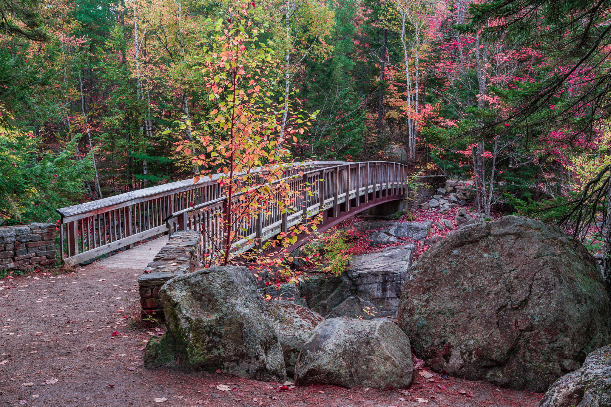 Leica TL2 sample photo. Bridge photography