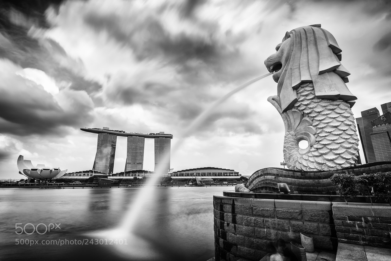 Nikon D810 sample photo. Merlion of singapore photography