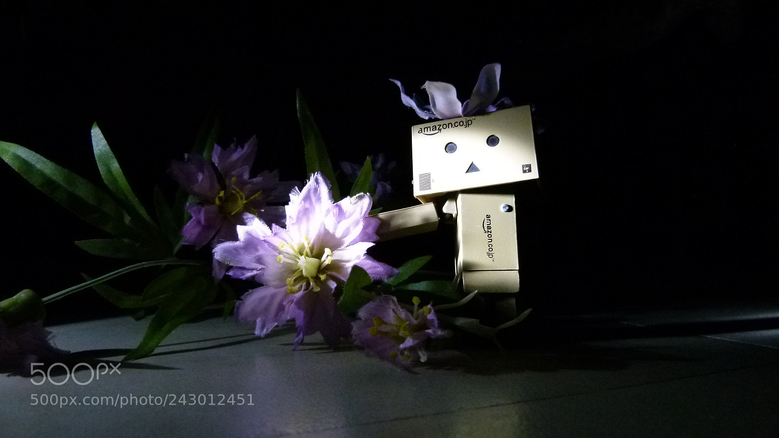 Leica V-Lux 2 sample photo. Untitled photography