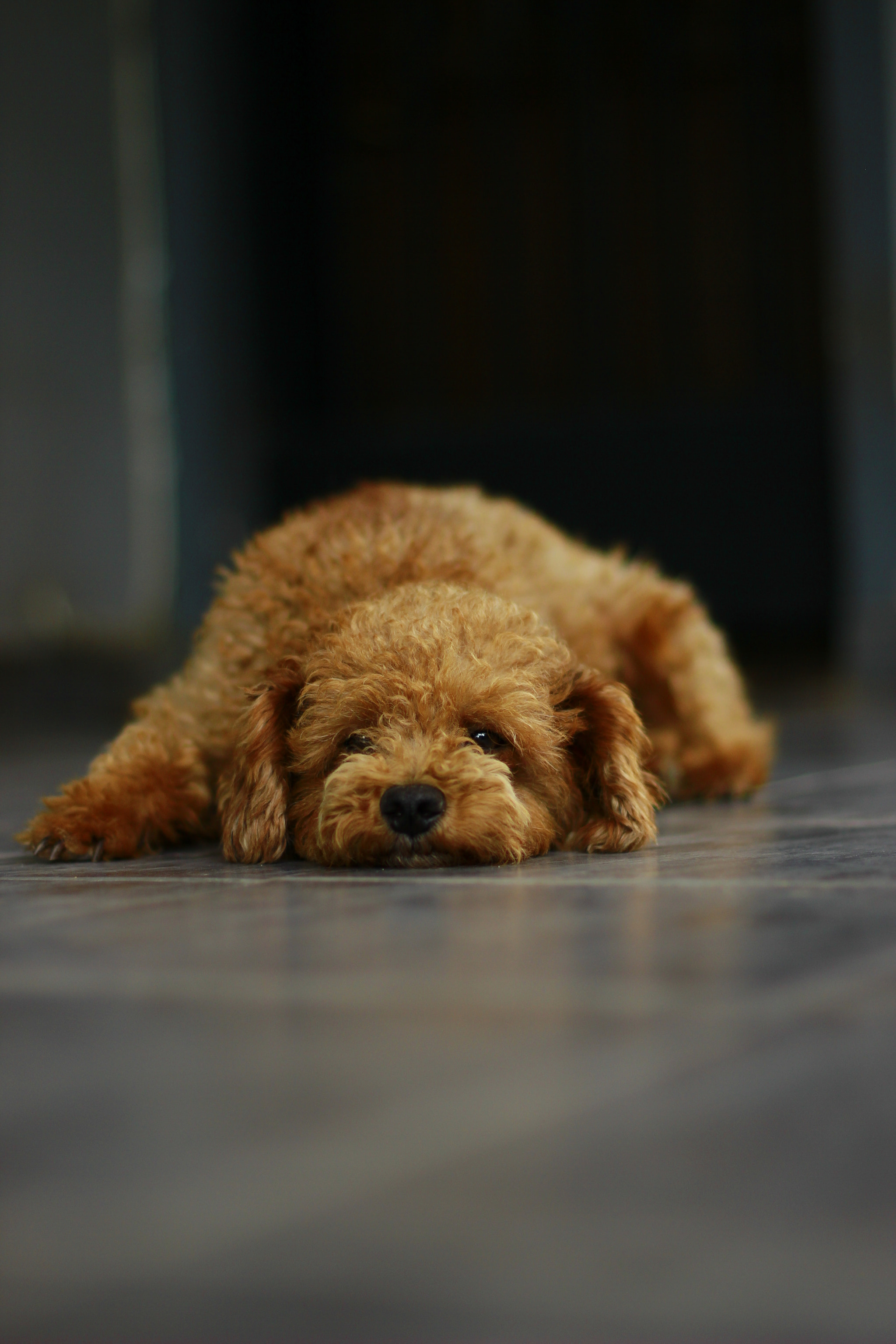 Canon EF 50mm F1.4 USM sample photo