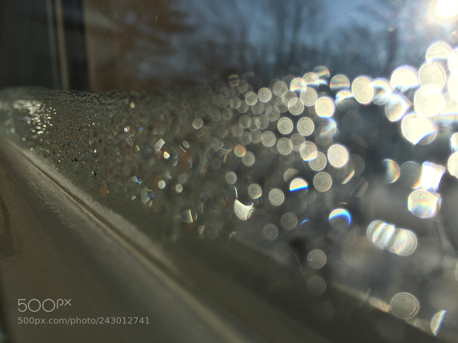 Apple iPhone 6 sample photo. Window dew... photography