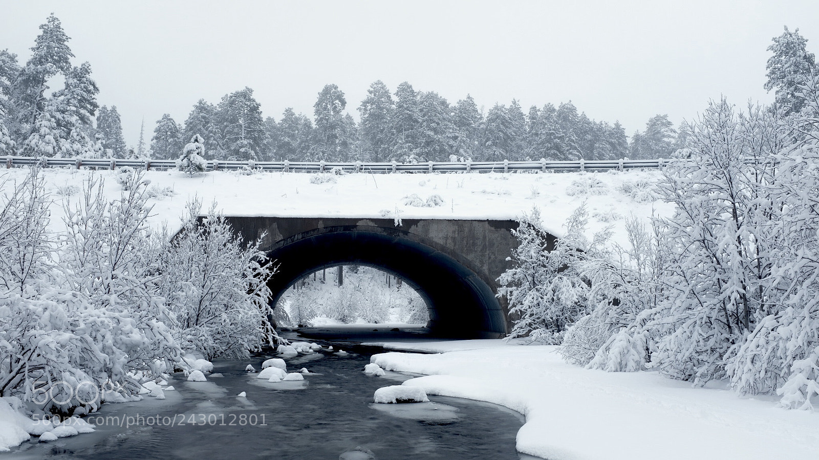 Fujifilm X100F sample photo. Bridge over the white photography
