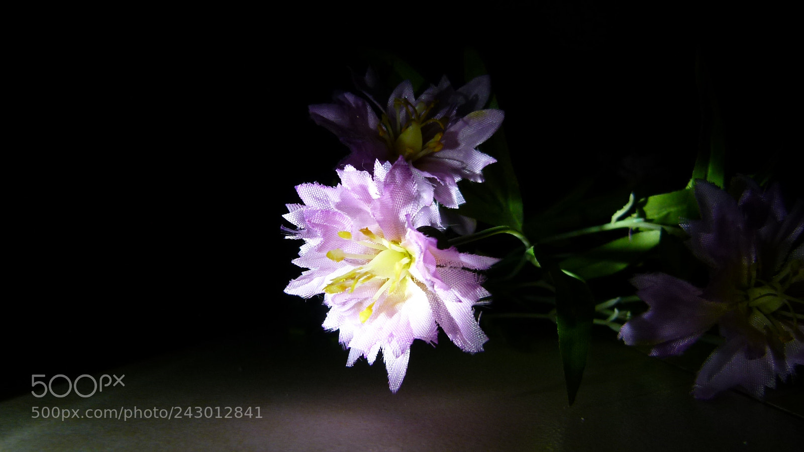 Leica V-Lux 2 sample photo. Untitled photography