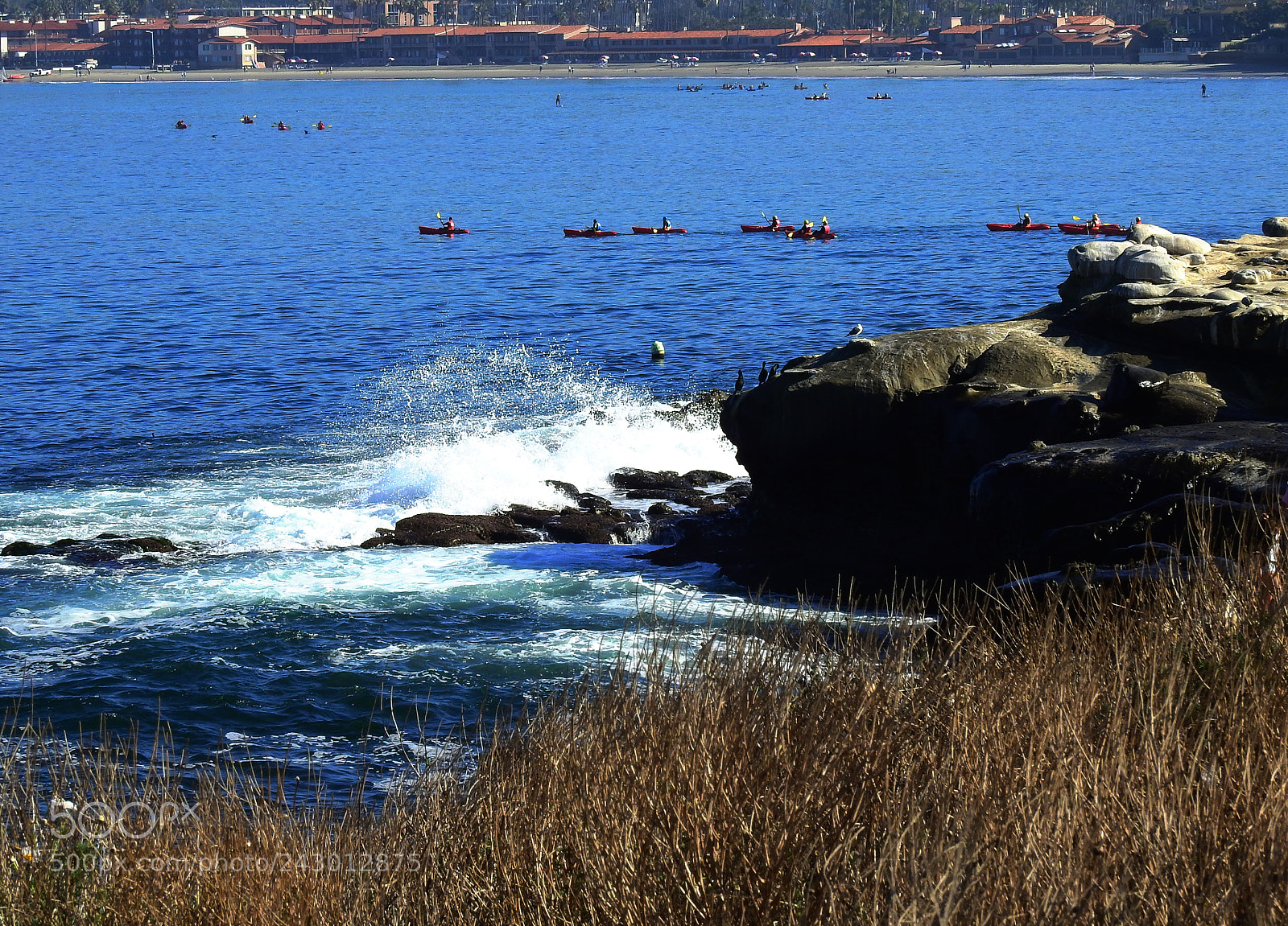 Nikon Coolpix P900 sample photo. La jolla photography