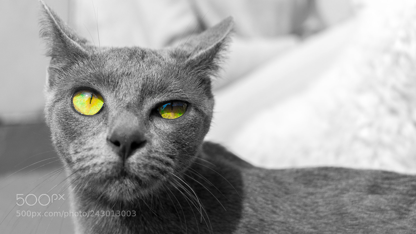 Nikon D3400 sample photo. Dūmi photography