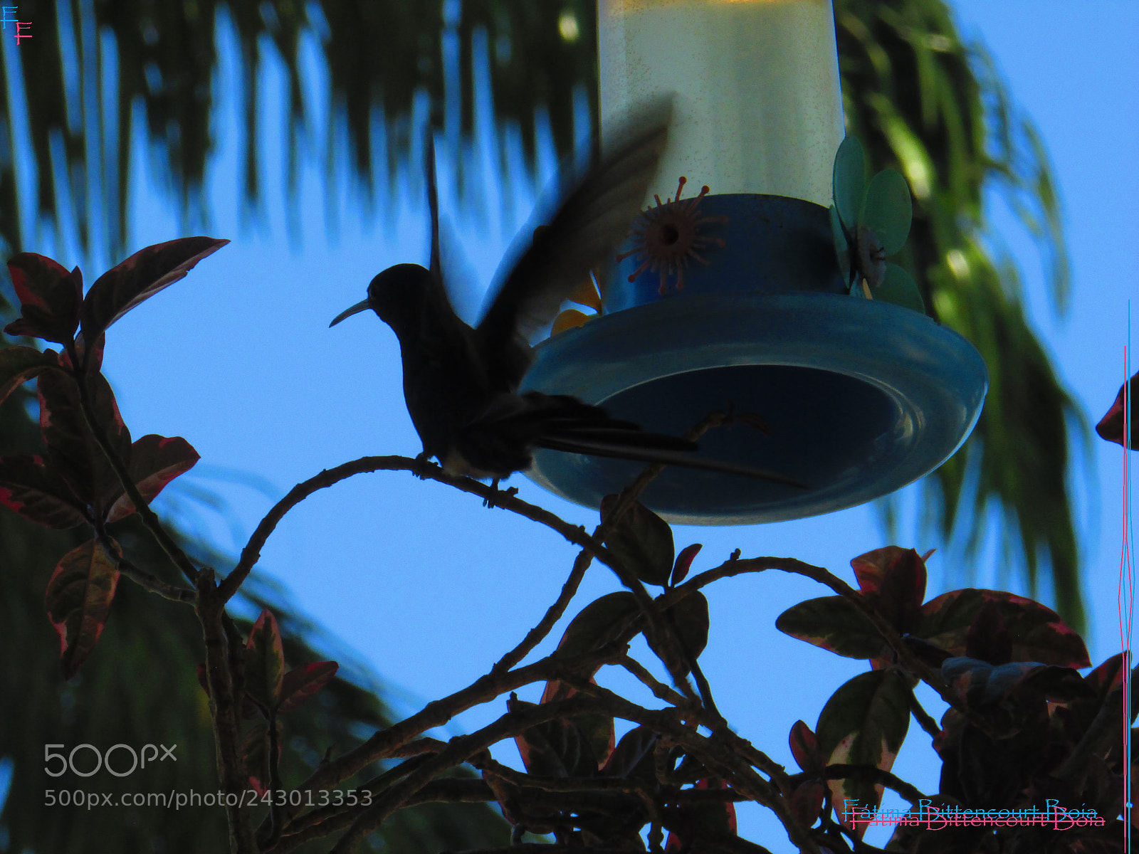 Canon PowerShot SX500 IS sample photo. 067.jpg photography