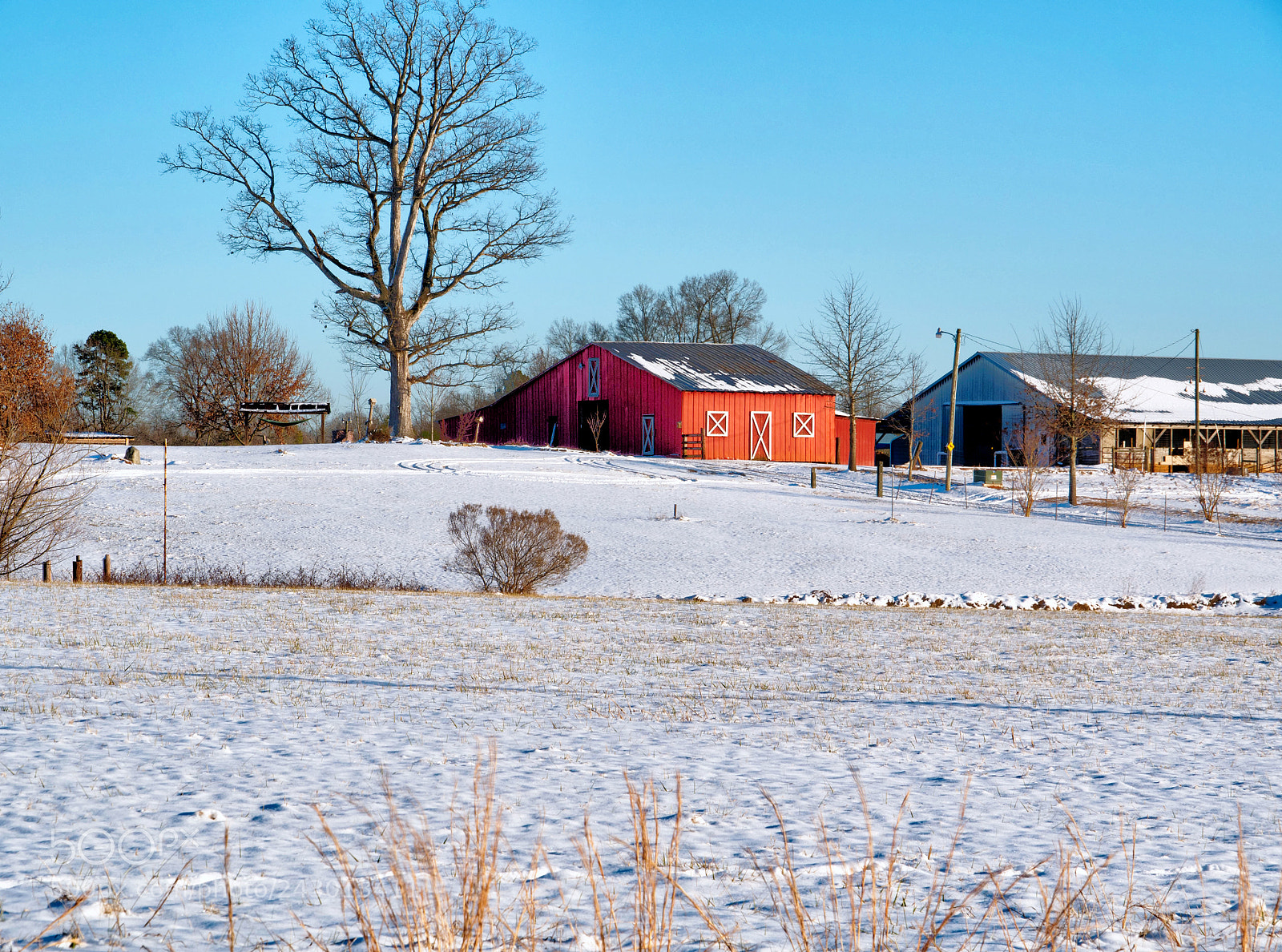 Panasonic Lumix DMC-G85 (Lumix DMC-G80) sample photo. Snow on the farm photography
