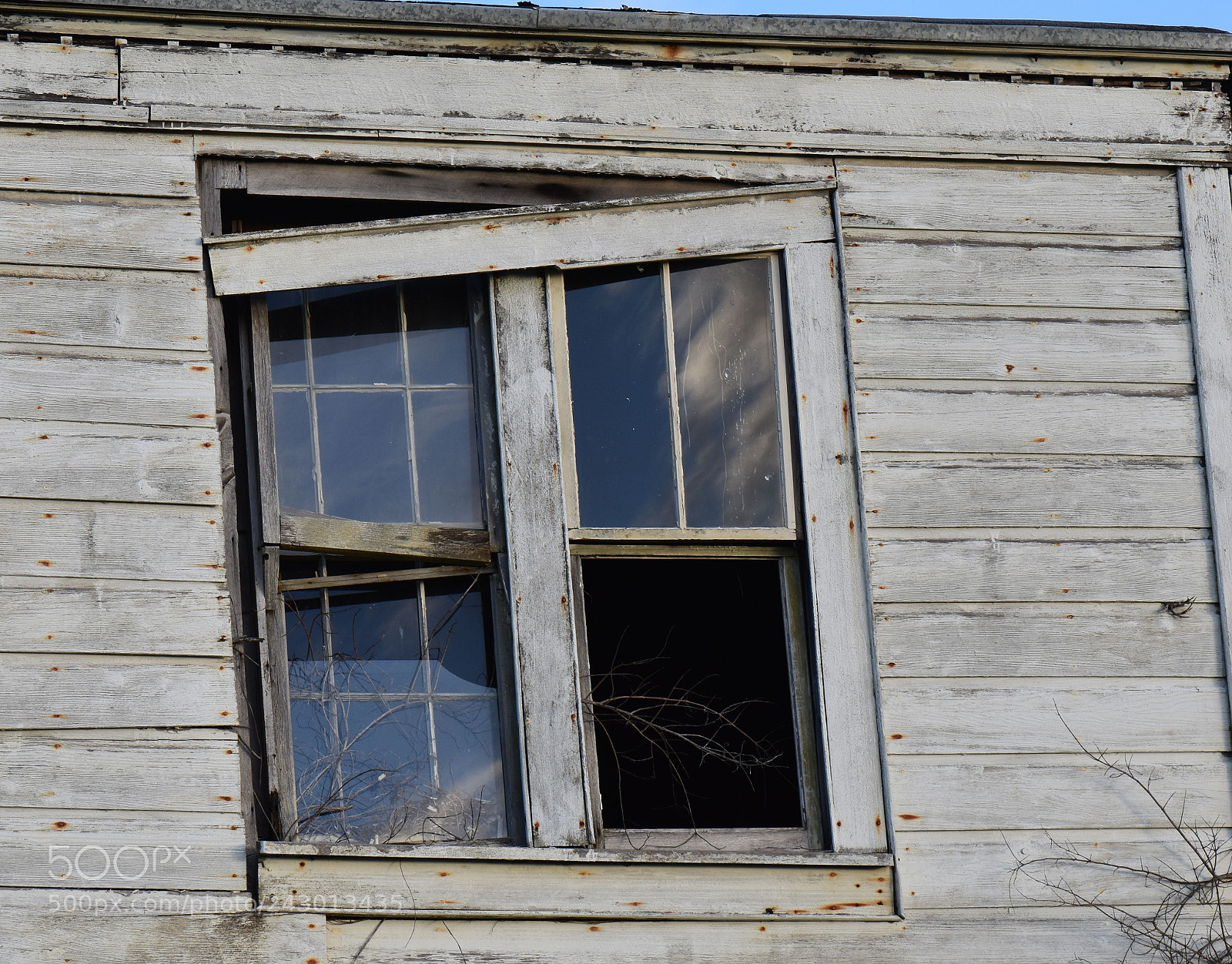 Nikon D5500 sample photo. In westport, mendocino coast photography