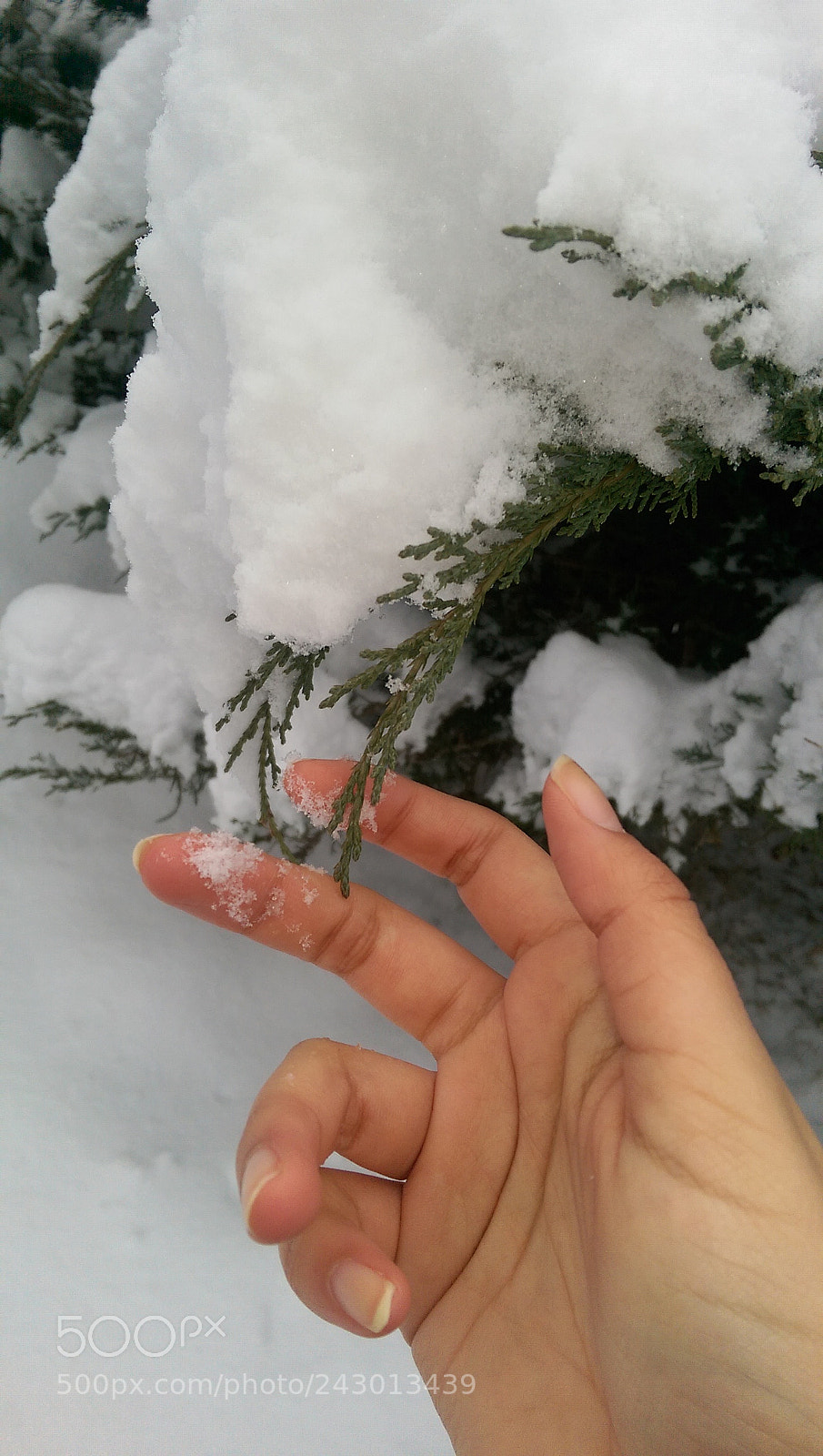 HTC ONE M8 sample photo. Untitled photography