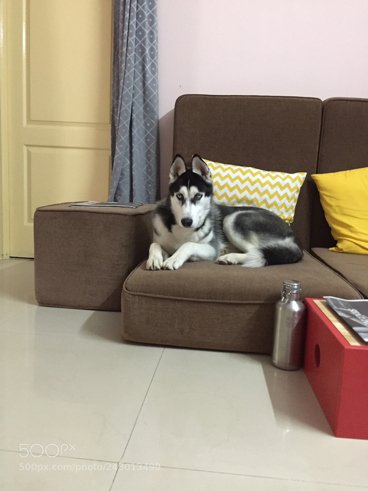 Apple iPhone 6 sample photo. Untitled photography