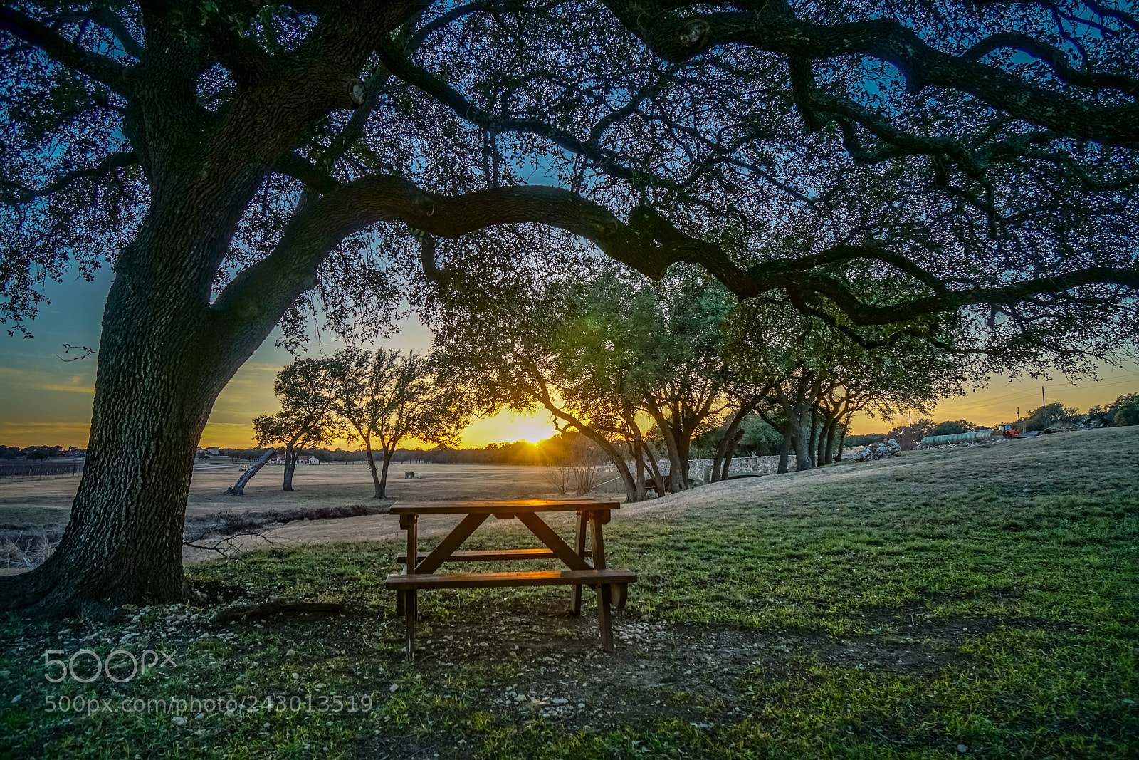 Sony a6500 sample photo. Vineyard at florence photography