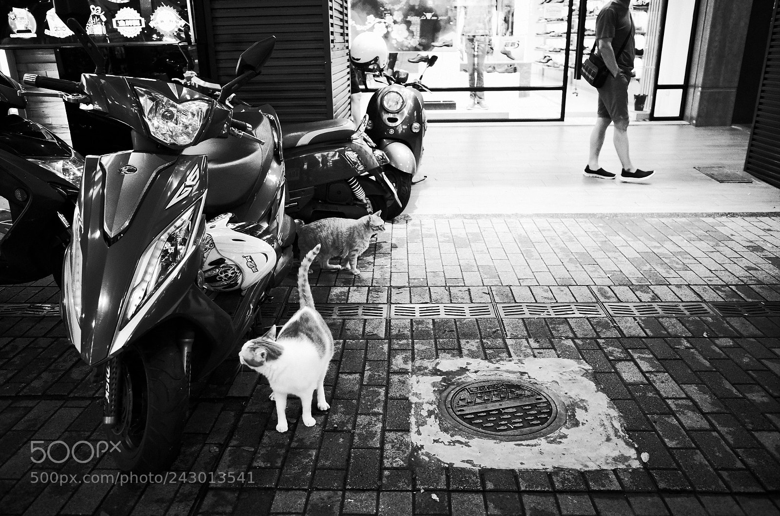 Ricoh GR II sample photo. Taipei, taiwan photography