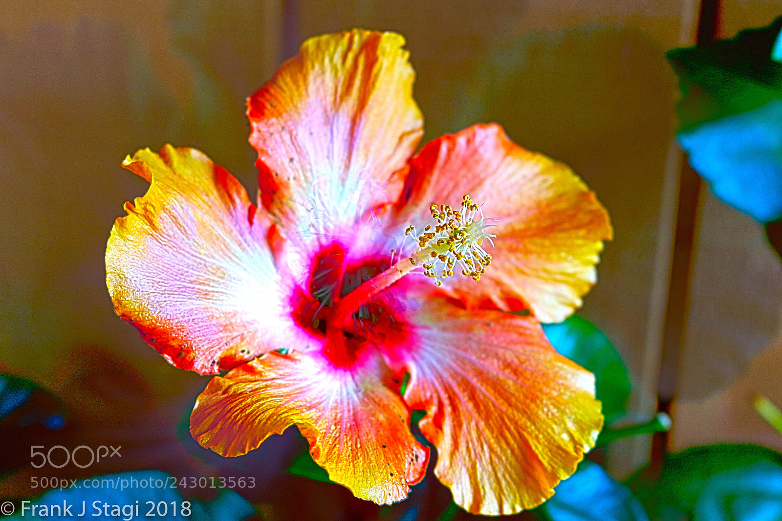 Canon EOS 750D (EOS Rebel T6i / EOS Kiss X8i) sample photo. Hib hdr photography